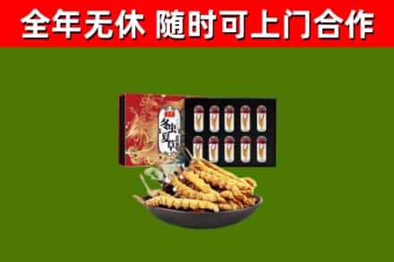 康巴什区回收冬虫夏草价格